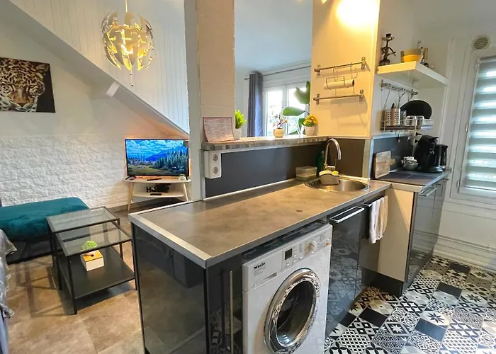 Superbe Appart Entier Au Pied De La Gare Rer, A 15 Min De Paris & Orly